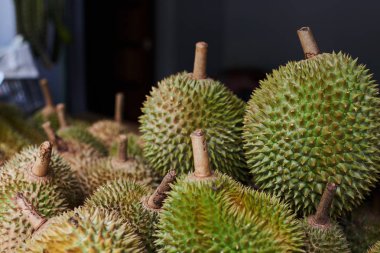 Egzotik tropik meyve durian satışa açık bir pazar. Durian görünmesini rafta ayarlandı. Durian meyve piyasada Tayland kralı.