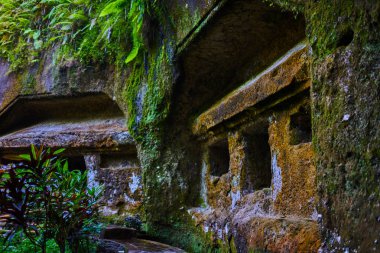 Tapınağın Bali adasında antik taş oyma güzel manzarasına. Gunung Kawi Tapınağı ve Candi Bali, Endonezya, ormanda. Ormanın eski tapınaklarda. Antik tapınak kalıntıları. Tapınak taş oyma.