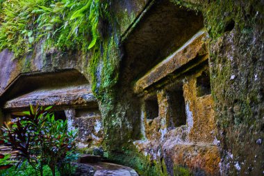 Tapınağın Bali adasında antik taş oyma güzel manzarasına. Gunung Kawi Tapınağı ve Candi Bali, Endonezya, ormanda. Ormanın eski tapınaklarda. Antik tapınak kalıntıları. Tapınak taş oyma.