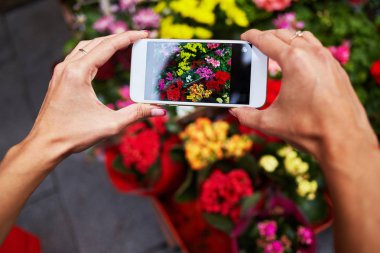 Cep telefonu tutan kadınların elleri çiçek fotoğrafını çekin. Smartphone açık yakalama resim bulanık renkli çiçek kullanan genç kadın. Hareket eden telefon ile değmek perde arka planını çiçekler üzerinde