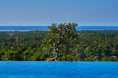 Sonsuzluk havuzu. Lüks okyanus manzaralı, derin mavi gökyüzü, yeşil ufuk ve bir tropik ağaç rahatlatıcı. Luxury resort yaz için rahatla. Kenar Yüzme Havuzu su, güzel manzarayı. Seyahat kavramı.