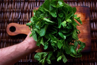El mans nane demet tutmak, barmen Mojito hazırlanması için bir madde aldı