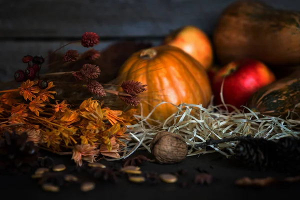 Erntedank Kürbisse Und Fallendes Laub Auf Rustikalem Holzbrett Der Scheune — Stockfoto