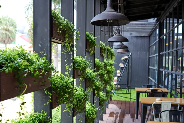 Ökoarchitektur Grünes Café Mit Wasserpflanzen Der Fassade Ökologie Und Grünes — Stockfoto