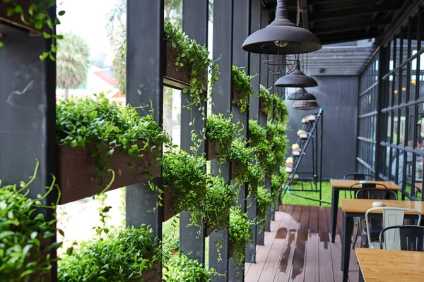 Eko mimari. Yeşil Cafe cephesinde hydroponic bitkiler ile. Ekoloji ve yeşil şehirde, kentsel çevre kavramı yaşam. Modern bina yeşil bitki kaplı. Arka plan.