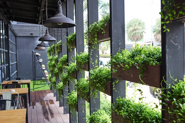 Green facade, gardening in architecture. Ecological building. Green architecture. Green plant windowsill cafe outdoor. Flower box decorating the window of a building. Abstract  background.