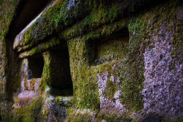 美丽的景色 在巴厘岛的寺庙古代石雕 古龙洛高宜寺和坎迪在丛林中的巴厘岛 印度尼西亚 丛林中的古老庙宇 古庙遗址 石刻寺 — 图库照片