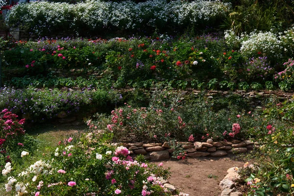 審美的なおよび形式的なライン ボーダー花壇と庭の設計 — ストック写真