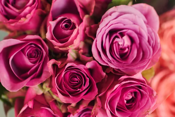 Schönen Frischen Strauß Natürliche Rosen Hintergrund Retrofilter Festlich Sortierte Rosen — Stockfoto