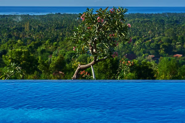 Piscina Sfioro Lussuosa Vista Rilassante Sull Oceano Cielo Blu Intenso — Foto Stock