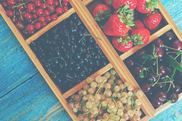 Sortierte Sommerbeeren Einer Hellen Holzkiste Mit Zellen Die Auf Blauem — Stockfoto