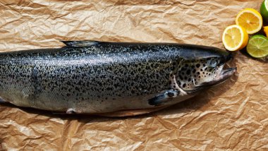 Kocam eve getirdi büyük karkas taze somon Balık tutma geziden döndü