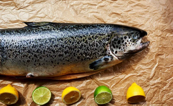 Vitrin trendy balık restoranıdır içinden herhangi bir yemek pişirmek mümkün olacak taze somon karkas