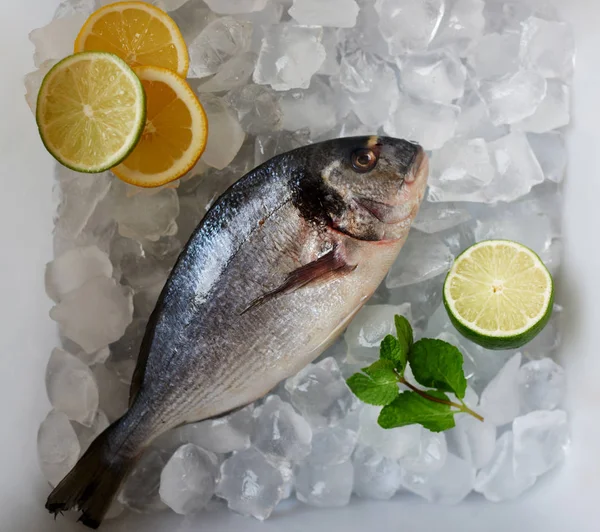 Cook Bevriezen Gilt Hoofd Brasem Verse Vis Voor Verdere Voorbereiding — Stockfoto