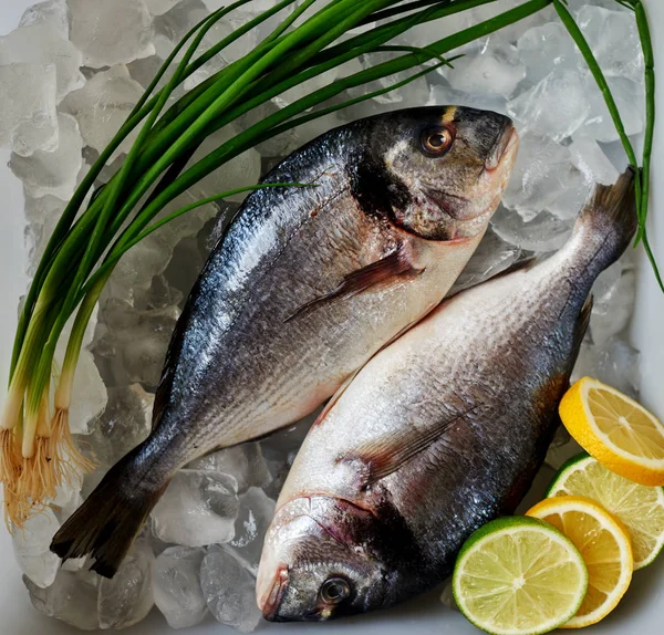 Świeżych Mrożonych Rybaków Dorado Przyniósł Plastikowej Tacce Luksusowej Restauracji Seafood — Zdjęcie stockowe