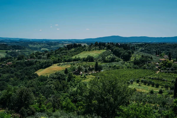 Chianti Region Der Sommersaison Blick Auf Die Landschaft Und Die — Stockfoto