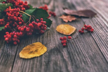 Sonbahar arka planı. Rustik ahşap tahta üzerinde sonbahar kırmızı ve sarı yaprakları ve çilek.
