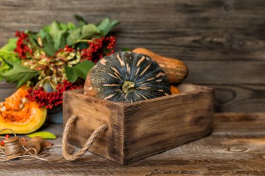 Yeşil yaprakları ile kırmızı çilek ile Sonbahar arka plan, vintage ahşap kutuda kabaklar. Kopya alanı ile yaşlı ahşap güz hasat. Sezonluk teklifler ve tatil kartpostalı için maket. Tonlu görüntü.