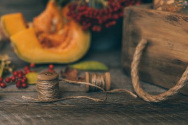 Sonbahar rustik kompozisyon. Kabaklar, vintage kutu, kurutulmuş yapraklar, koyu ahşap arka plan üzerinde kırmızı meyveler. Sonbahar, sonbahar, cadılar bayramı konsepti. Tonlu görüntü. Kopya alanı. Seçici odaklama.