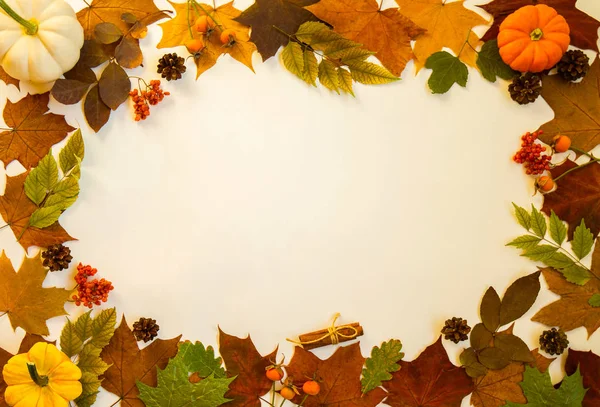 Frame Made Autumn Dried Leaves Pastel Background Flat Lay Top — Stock Photo, Image