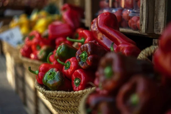 Bio Zöldség Bódé Gazdálkodó Piacon Eladja Friss Zöldséget Kertben Mezőgazdasági — Stock Fotó