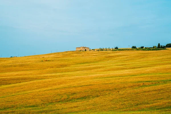 Unique Tuscany Landscape Summer Time Wave Hills Cypresses Trees Beautiful — Stock Photo, Image