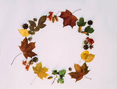 Balkabağından, güz meyvelerinden, kuru yapraklardan, meşe palamudundan, kozalaklardan, anasonlu pastel arka plandan yapılmış çelenk. Sonbahar konsepti. Düz konum, üst görünüm, kopyalama alanı. Tonlanmış görüntü. Eski tarz. Sonbahar arkaplanı.