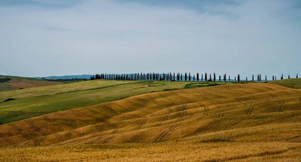 Toscaanse Heuvels Tijdens Oogstperiode Uniek Landschap Met Glooiende Heuvels Reizen — Stockfoto