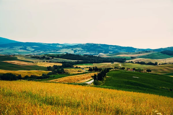 Majestuosa Vista Del Paisaje Natural Típico Toscana Hermosas Colinas Amanecer —  Fotos de Stock