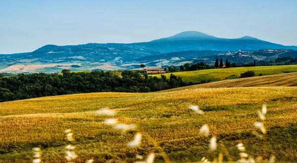 Traditioneel Landschap Landschappen Van Het Prachtige Toscane Velden Gouden Kleuren — Stockfoto