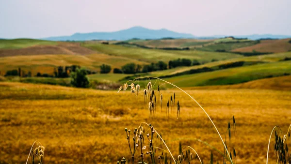 Pohled Podzimní Krajinu Italské Venkovské Krajině Jedinečná Sluneční Krajina Slunci — Stock fotografie