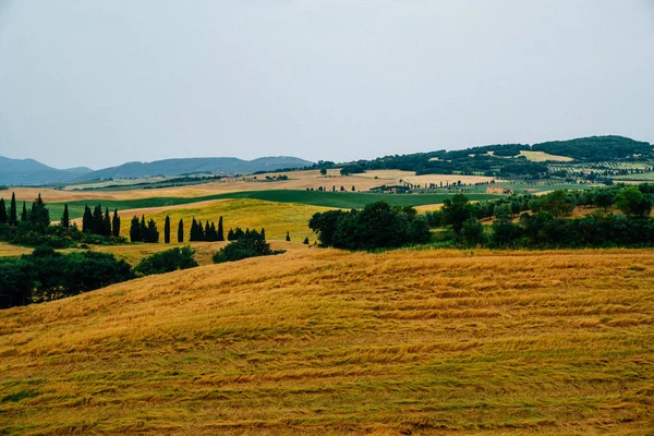 Toscana Vidéki Naplemente Táj Vidéki Gazdaság Ciprusok Fák Mezők Napfény — Stock Fotó