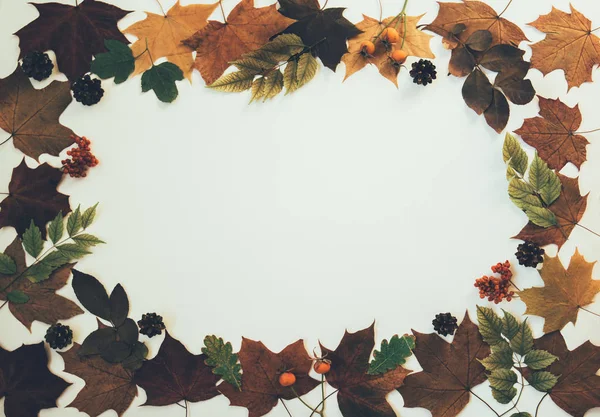 パステル背景に秋の葉 ドングリ 松のコーンで作られたフレーム 秋のコンセプト フラットレイ トップビュー コピースペース — ストック写真