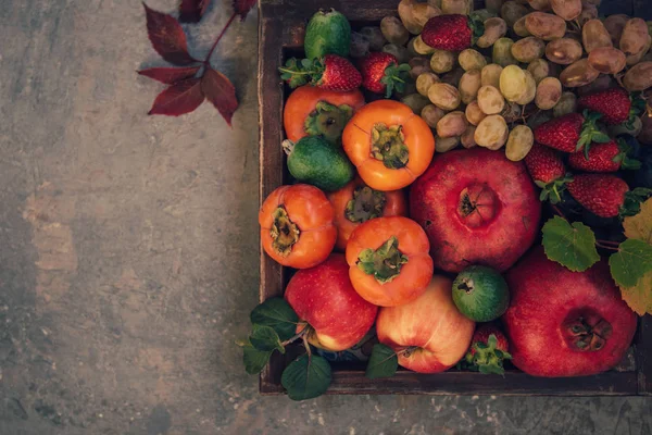 Φθινοπωρινή Συγκομιδή Σταφύλια Δαμάσκηνα Σύκα Μήλα Υγιεινά Βιολογικά Φρούτα Και — Φωτογραφία Αρχείου