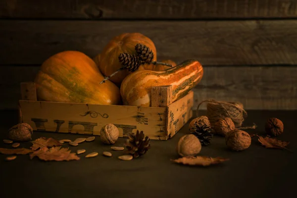 Herbstkürbisse Und Blätter Auf Altem Holzgrund Friedliches Herbstblatt Zapfen Stillleben — Stockfoto