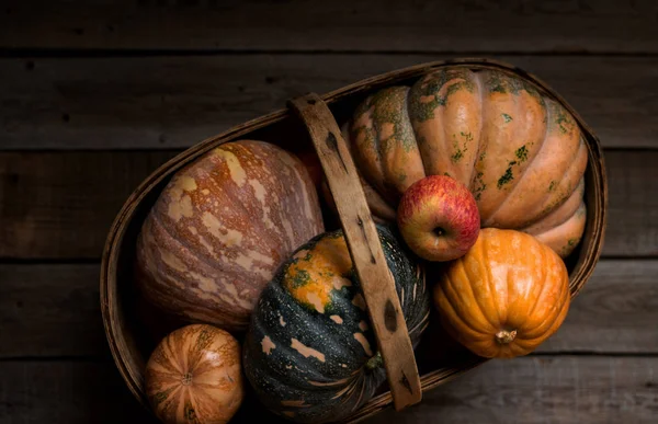 Duży Kosz Wikliny Vintage Jesiennych Warzyw Squash Gourds Dynie Jabłka — Zdjęcie stockowe