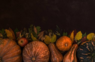 Sarı yaprakları, kırmızı elma, domates, biber ve kabak ile Sonbahar arka plan. Fotokopi alanı ile yaşlı ahşap sonbahar hasat sınırı. Mevsimlik teklifler ve sonbahar yemekleri için maket, en iyi manzara.