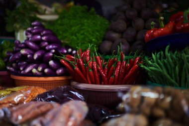Çiftçi pazarından organik taze farklı sebze. Sağlıklı yerel gıda pazarı. Biyo gıda, otlar ve baharatlar. Taze sebze beetroots, patlıcan, biber hasat. Sonbaharda hasat kavramı.