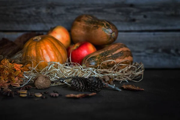 Erntedank Kürbisse Und Fallendes Laub Auf Rustikalem Holzbrett Der Scheune — Stockfoto