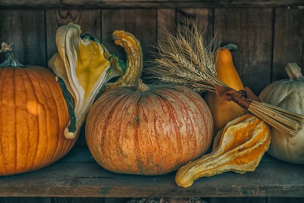 Vägkanten Farmstand Kalifornien Usa Landsbygden Har Många Pumpor Till Salu — Stockfoto