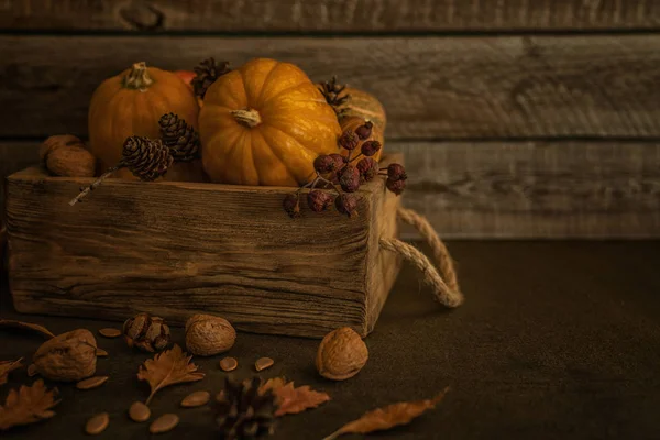 Concept Automne Avec Légumes Saison Pour Thanksgiving Day Légumes Frais — Photo