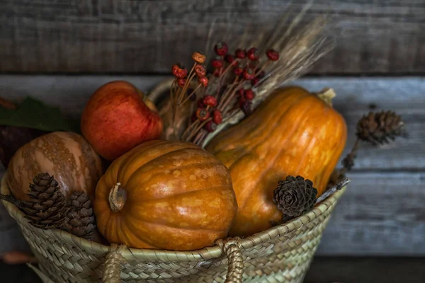 Colored Fall Vegenables Sur Les Planches Vintage Décorations Automne Dans — Photo