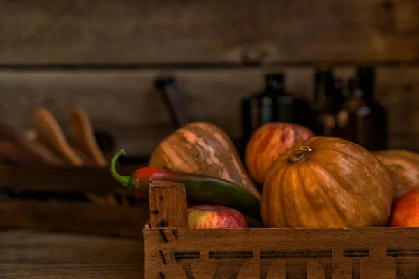 Herbstkonzept Mit Saisonalem Gemüse Zum Erntedank Frisches Gemüse Auf Dunklem — Stockfoto