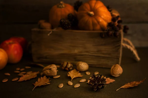 Concept Automne Avec Légumes Saison Pour Thanksgiving Day Légumes Frais — Photo