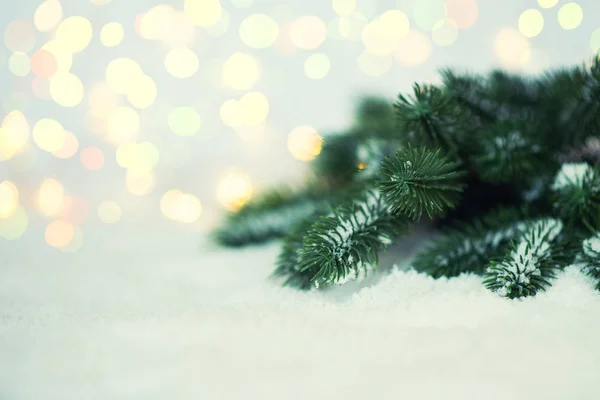 Noel Ağacı Çam Dalları Hafif Bir Arka Plan Üzerinde Kar — Stok fotoğraf
