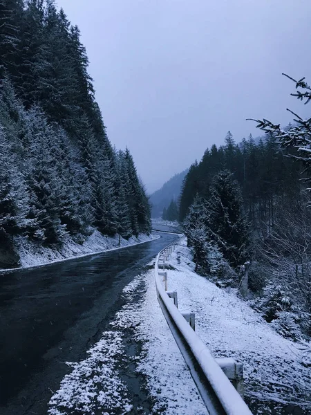 Floresta Montanha Inverno Com Abetos Cobertos Neve Bela Paisagem Inverno — Fotografia de Stock