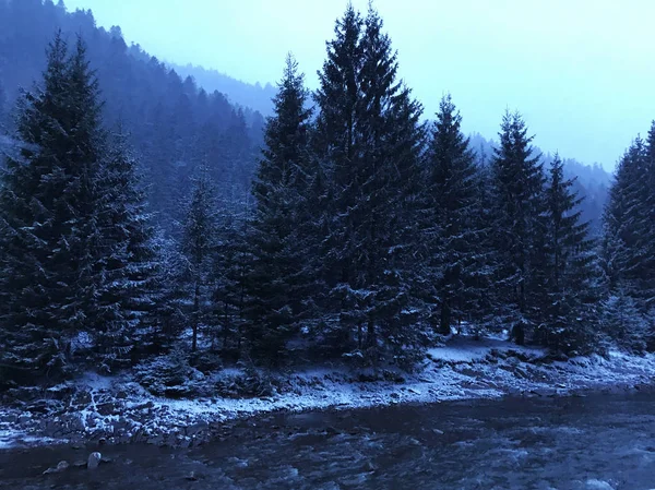 Winter landscape with winter river, surrounded by trees. Winter forest on the river. Landscape with snowy trees. Tranquil winter nature. Beauty world. Toned image.