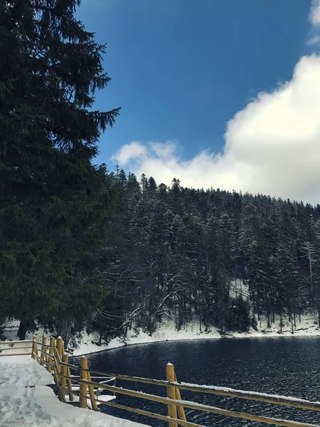 Lago Montanhas Inverno Colinas Pinheiros Floresta Inverno Paisagem Com Árvores — Fotografia de Stock