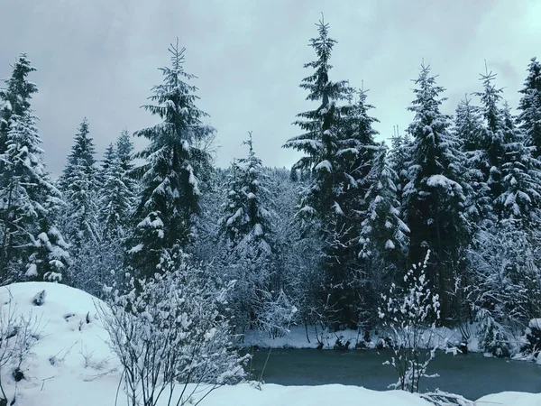 Paisagem Inverno Com Rio Inverno Rodeado Por Árvores Floresta Inverno — Fotografia de Stock