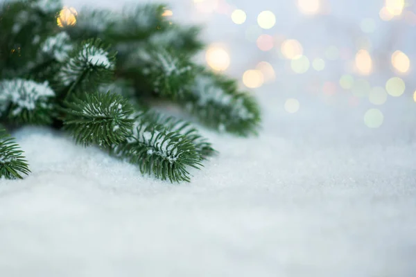 Noel Kar Köknar Dalları Kopya Alanı Ile Beyaz Arka Plan — Stok fotoğraf